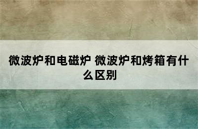 微波炉和电磁炉 微波炉和烤箱有什么区别